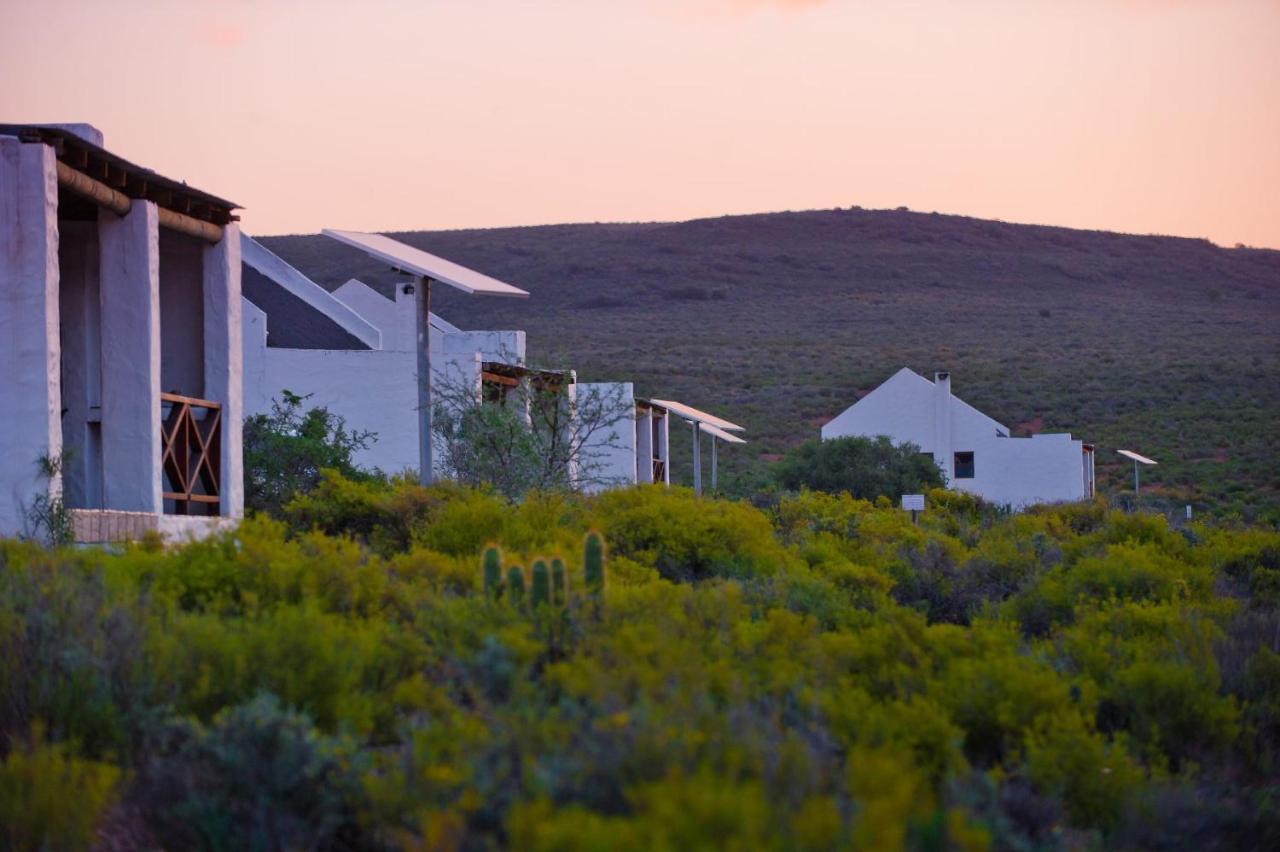 African Game Lodge Montagu Esterno foto