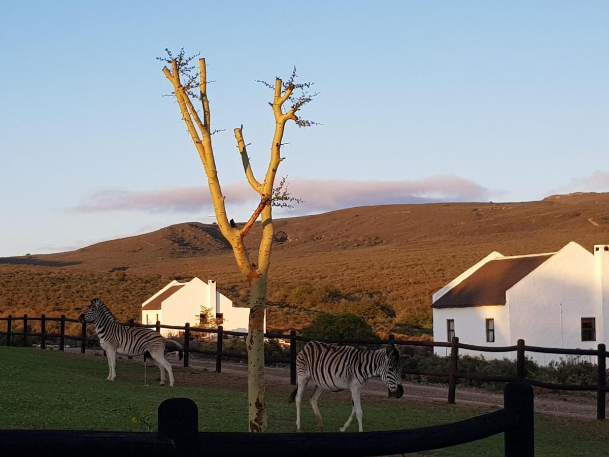 African Game Lodge Montagu Esterno foto