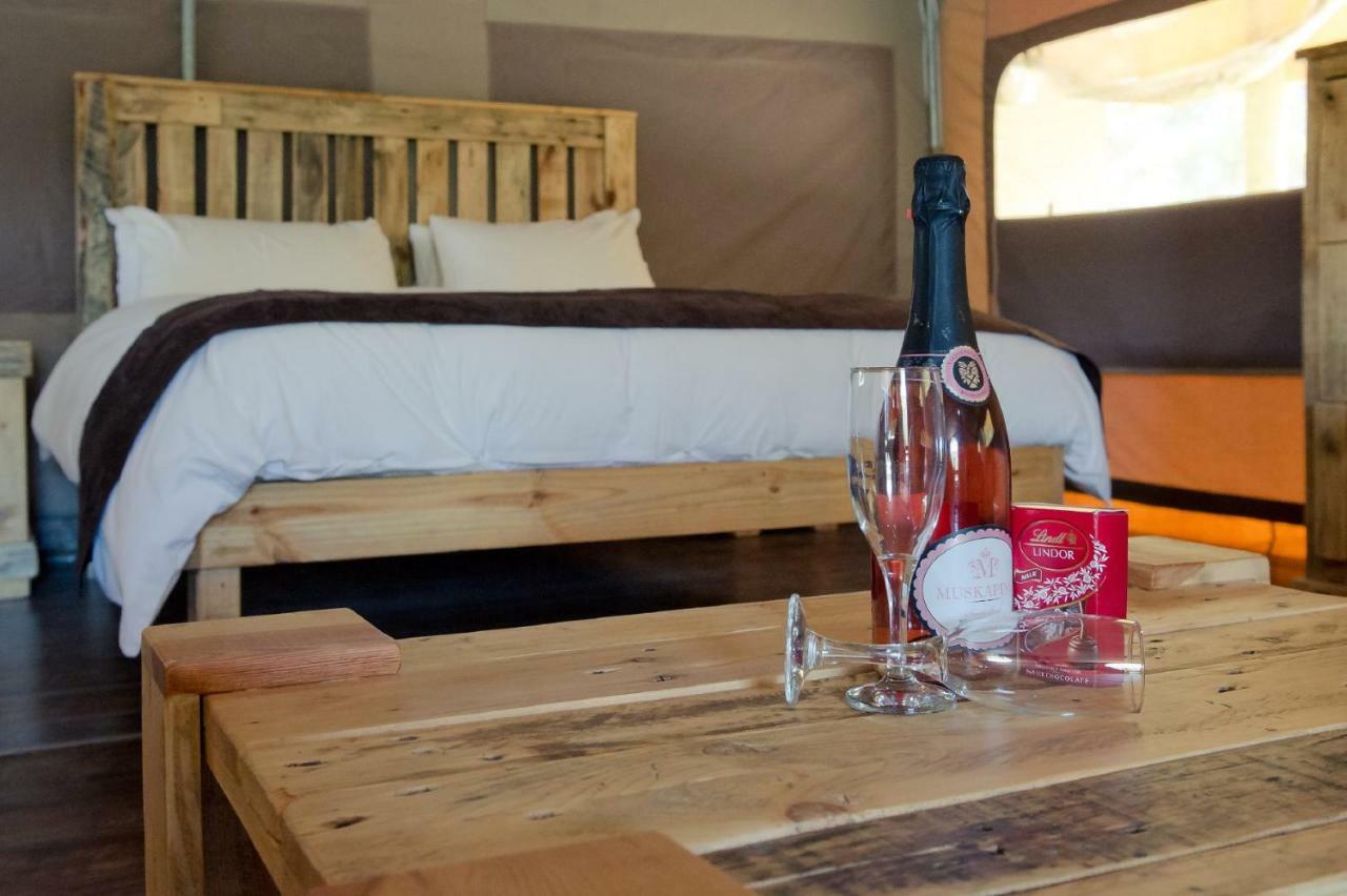 African Game Lodge Montagu Esterno foto